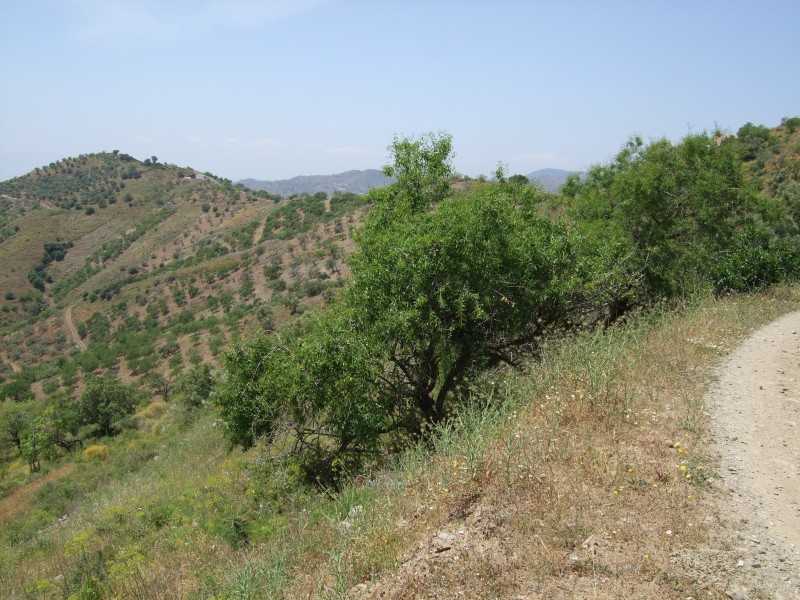 Anadalusien 2009 - 0075 